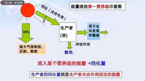 能量流失|46.2：能量流经生态系统